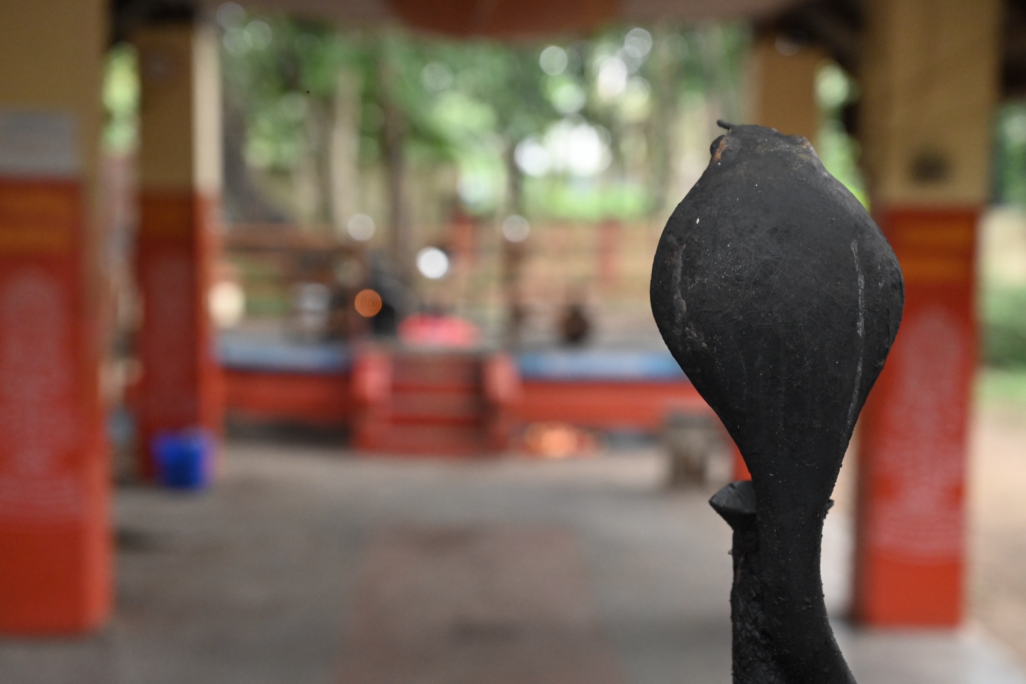 മൂലസ്ഥാനം